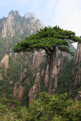  Sanqing mountains landscapes in china