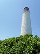 Nineteenth century lighthouse rising over vegetation
