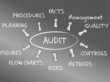 Das Konzept des Management Audits