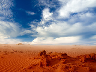 desert landscape