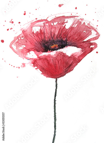 Naklejka na szybę Poppy flower, watercolor