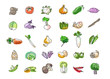 Leinwandbild Motiv vegetables-30
