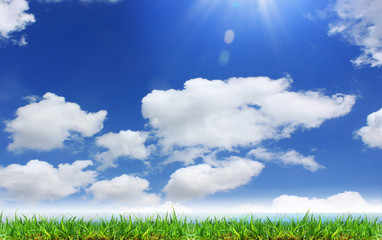 Wall Mural - grass and sky background