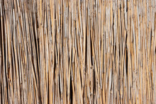 Reed Texture