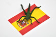 spanische Fahne mit Heuschrecke