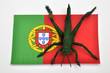 portugiesische Fahne mit Heuschrecke