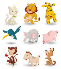 Wall Mural - cartoon animal icon set