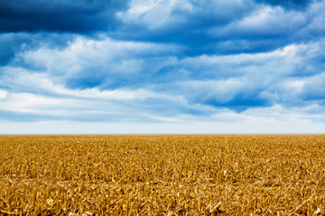 Wall Mural - American Land with cloudy sky and fog in background