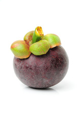 Wall Mural - mangosteen