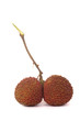 Two tropical fruit lychee