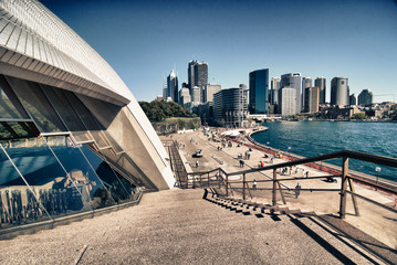 Canvas Print - Sydney Harbour