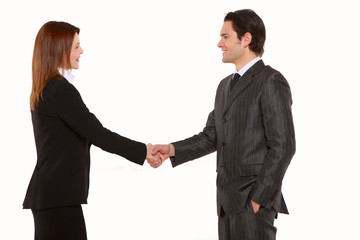 Wall Mural - businessman and businesswoman shaking hands