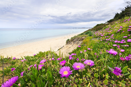 Naklejka - mata magnetyczna na lodówkę Mediterranean landscape