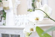Orchidee weiß dekoration