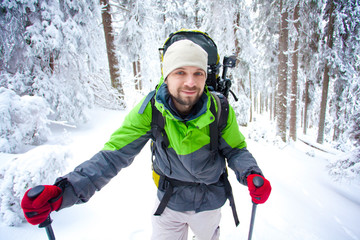 Wall Mural - Hiker walks in snow forest
