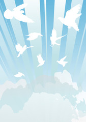 Wall Mural - white doves in cloud sky