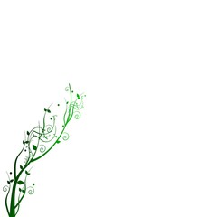 Wall Mural - FLORAL  VERT  HERBE