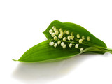 lilly of the valley bouquet isolated over white background