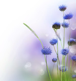 160_f_33384109_te0umjlc2a34audp36vjl6c1czzm4i5n