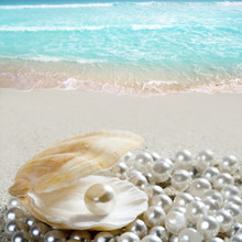 Caribbean Pearl On Shell White Sand Beach Tropical