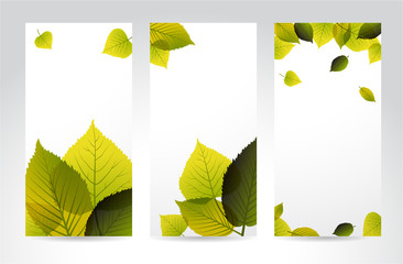 Wall Mural - Fresh natural vertical banners with leafs