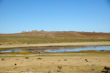 Wall Mural - Paysage, Mongolie