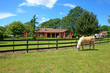 Pasture on A horse ranch with a house and fence.