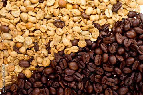 Naklejka - mata magnetyczna na lodówkę roasted and raw coffee beans