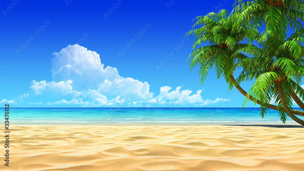 Palms on empty idyllic tropical sand beach - obrazy, fototapety, plakaty 