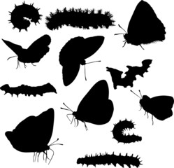 Sticker - caterpillar and butterflies silhouettes collection