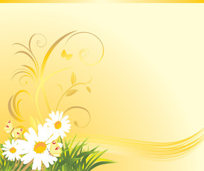 Wall Mural - Grass with chamomiles and butterflies on the yellow background