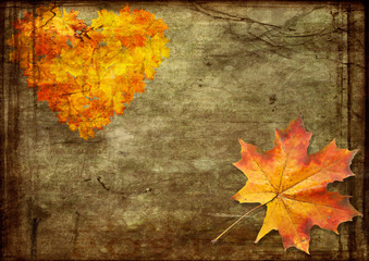 Wall Mural - red sheets maple grunge