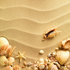 Canvas Print - sea shells with sand as background