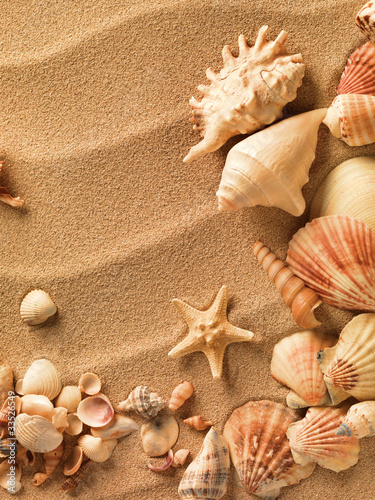 Naklejka dekoracyjna sea shells with sand as background