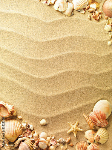 Naklejka dekoracyjna sea shells with sand as background