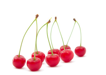 Poster - cherry