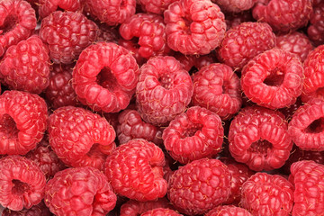 Sticker - A raspberry background