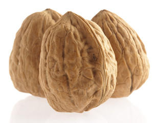 Poster - walnut