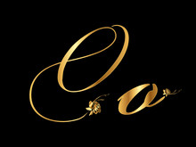 Gold Vector Letter  O With Roses