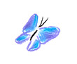 blue butterfly simple illustration