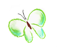 Green Butterfly Simple Illustration