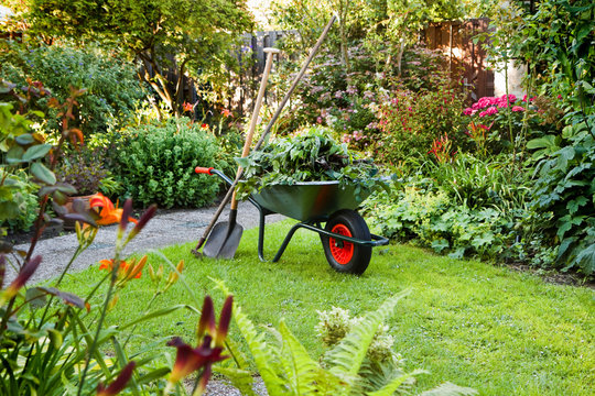 working with wheelbarrow in the garden
