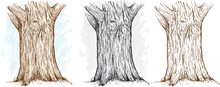 Three Different Versions Of An Illustration Of A Tree Trunk