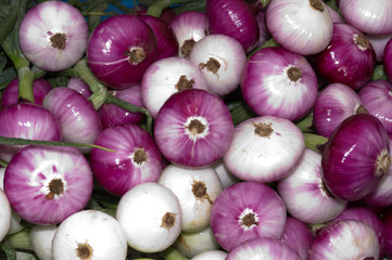 Wall Mural - Onions on display