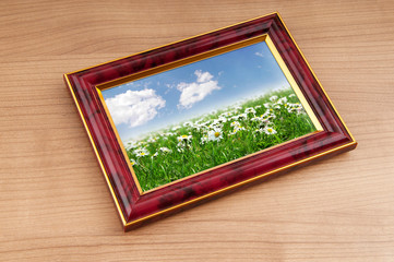 Wall Mural - Camomiles field on picture frame