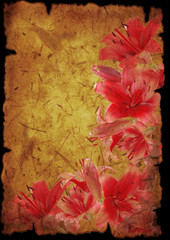 Wall Mural - red lily on grunge background