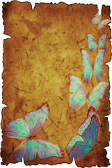 Wall Mural - blue butterfly