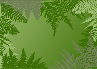 Wall Mural - green fern frame illustration