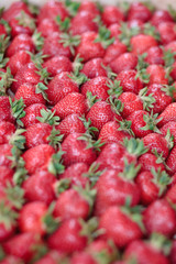 Canvas Print - strawberry market