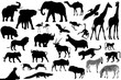 africa animales collage